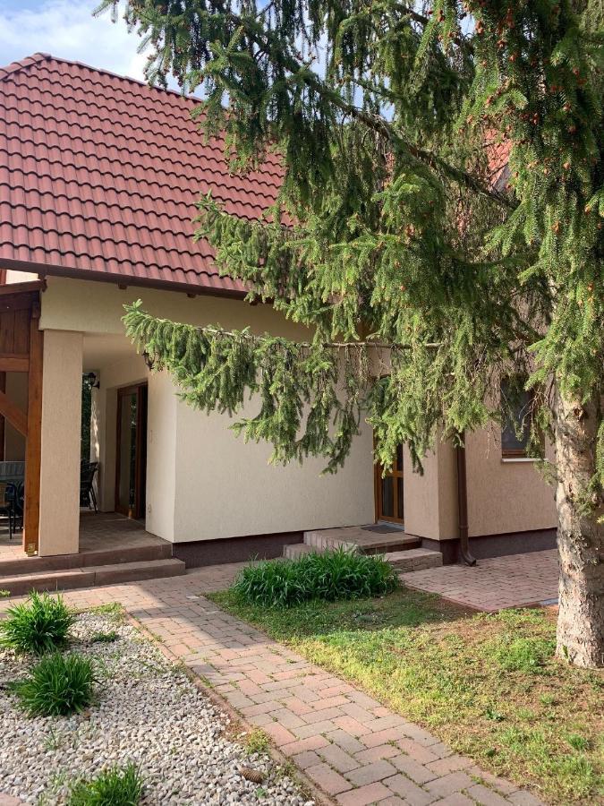 Kemences Haziko Apartment Сарвас Екстериор снимка